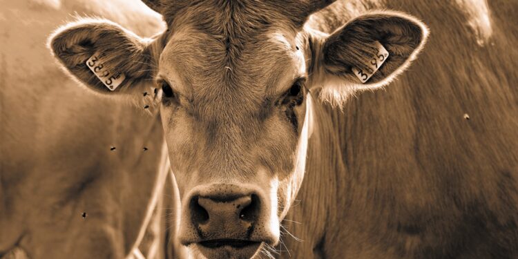 Wie Geld richtig anlegen 2025 1 Wie Geld richtig anlegen 2025 Abbildung