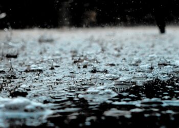 Bild Der Geruch von Regen