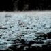 Der Geruch von Regen: Alles über Petrichor und warum wir ihn so intensiv wahrnehmen 2 Bild Der Geruch von Regen